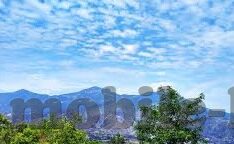 大象传媒app软件下载-探索大象传媒，解锁娱乐新视界