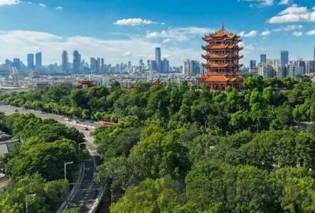 国产麻豆剧果冻传媒北上广观看-题为国产麻豆剧果冻传媒北上广观影热潮的文章