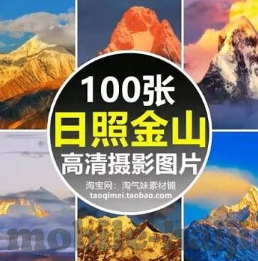 伦理电影网址-伦理电影的探索之旅，寻找心灵的共鸣与思考
